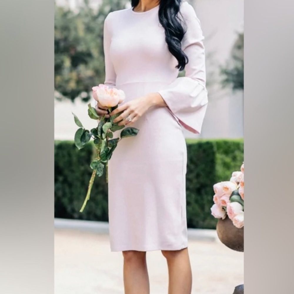 Rachel Parcel xs dress light pink